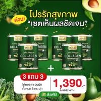 ราคา คอลลี่เวจจี้ กระดูกทับเส้น มือชา เท้าชา นิ้วล็อค Yumiko Colly Veggie collagen คอลลี่ เวจจี้ คอลลาเจนผัก ยูมิโกะ 200g ของแท้100 (21474041926)