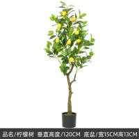 ราคา ต้นเลม่อนเทียม RAMITREES ต้นไม้ปลอม ดอกไม้และต้นไม้ประดิษฐ์ ของมงคลตกแต่งบ้าน (22416246350)