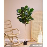 ราคา ต้นไทรใบใหญ่เทียม ต้นไทรไหมเทียม ขนาด120 150 180cm เหมาะสำหรับตกแต่งห้องนั่งเล่น ในร่ม กลางแจ้ง สำนักงาน บ้าน ของขวัญ (22416101360)