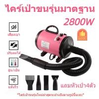 ราคา ไดร์เป่าน้ำสัตว์เลี้ยงไดร์เป่าสุนัข 2800W ไดร์ไล่น้ำ ไดร์ขนสุนัข ไดร์เป่าขนแมว เครื่องเป่าขน (21486647402)
