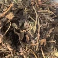 ราคา 100g 1000g High quality Natural Sun Dried Lemon Balm Tea Lemon Bee Grass Dried Xiang Feng Leaves Herbal Tea (22733737932)
