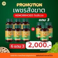 ราคา ยาแผนไทย เพชรสังฆาต ริดสีดวง ติ่งโผล่ เจ็บ ขับถ่ายคล่อง สมุนไพรริดสีดวง แคปซูลเพชรสังฆาต แก้ริดสีดวง ริดสีดวงทวาร SN9 (22689582914)