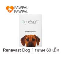 ราคา RenAvast Dog Exp 1 2024 เรนอะวาสท์ อาหารเสริมโปรตีน บำรุงไต สุนัข หมา ค่าไตขึ้น โรคไต ไตเสื่อม Renal supplement for dog 1 กล่อง 60 แคปซูล (1886886451)