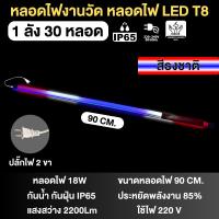 ราคา หลอดไฟงานวัดT8 30ชุด หลอดไฟงานวัดLED พร้อมปลั๊ก T8 ไฟงานวัด หลอดนีออนสี หลอดไฟงานวัด (21886421567)