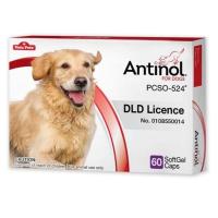 ราคา Antinol บรรจุ 60 เม็ด สำหรับสุนัขและแมว บำรุงข้อ (20569029714)