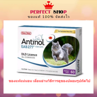 ราคา หมดอายุ 12 2024 Antinol แมว อาหารเสริมลดอักเสบ บำรุงข้อ (17689390524)