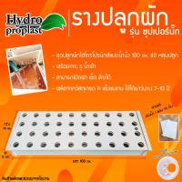 ราคา ชุดปลูกผักไฮโดรโปนิกส์แบบน้ำนิ่ง จำนวน 24 80 หลุม ยาว 60 200 cm ระยะห่างต่อหลุม 9 cmสำหรับปลูกผักไทย แถมฟรี ถ้วยปลูก ตามจำนวนหลุม และฟองน้ำ 1 แผ่น 96 หลุม ทุกรายการ (22509931162)