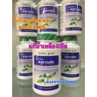 ราคา อ้วยอันโอสถ พลูคาวสกัด 100 แคปซูล PLU KAW EXTRACT 100 CAPSULES Houttuynia cordata (22531636451)