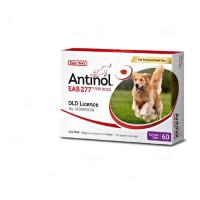 ราคา Antinol อาหารเสริมบำรุงข้อสำหรับสุนัข 1กล่อง บรรจุ60เม็ด (20922251908)