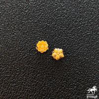 ราคา ชาร์มทองคำแท้ 99 9 ไซร์จิ๋ว มีใบรับประกันทองคำแท้ (21630263492)