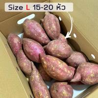 ราคา ถูกที่สุด ยกลัง5 กิโลกรัม มันหวานญี่ปุ่นสายพันธุ์ Purple Sweet ปลูกไทย เนื้อเหลือง หอมหวาน อร่อย สินค้าเคลมได้ (22706197872)