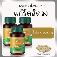 ราคา SN9เพชรสังฆาต ริดสีดวง สมุนไพรเพชรสังฆาต Hemorrhoids กระปุก50เม็ด ริดซี่ดวง แคปซูลเพชรสังฆาต (21353636935)