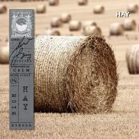 ราคา KARMAKAMET Original Body Spray คามาคาเมต สเปรย์น้ำหอมเพื่อกลิ่นกาย สเปรย์ฉีดตัว สเปรย์หอม น้ำหอม (22775390528)