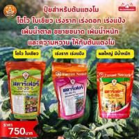 ราคา แตงโม ผลใหญ่ ด้วย ปุ๋ย สตาร์เฟอร์ 0 0 60 โพแทสเซี่ยม สูตรเร่งผล เพิ่มผลผลิต ขยายขนาด เพิ่มน้ำหนัก และคุณภาพ (21711342801)