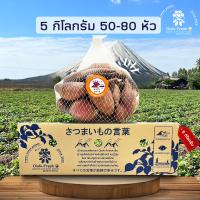ราคา ถูกที่สุด ยกลัง 5 กิโลกรัม Snack มันหวานญี่ปุ่นสายพันธุ์ Kogane ปลูกไทย เนื้อเหลือง หวาน อร่อย สินค้าเคลมได้ (22758172490)