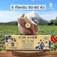 ราคา ถูกที่สุด ยกลัง 5 กิโลกรัม Snack มันหวานญี่ปุ่นสายพันธุ์ Beni haruka ปลูกไทย เนื้อเหลือง หวาน อร่อย สินค้าเคลมได้ (22758383053)