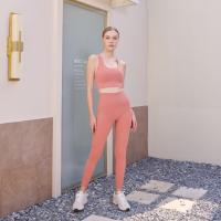 ราคา Penny Activewear กางเกงออกกำลังกายเอวสูง พิเศษ กางเกงโยคะขายาว9ส่วน กางเกงวิ่งผู้หญิง ผ้านิ่ม ยืดหยุ่นดี แห้งไว ใส่วิ่ง ฟิตเนส โยคะ รุ่น Pocket Leggings 40สี 4ไซส์ (16955266238)