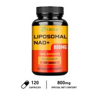 ราคา Grevip Liposome NAD 500 mg Trans Resveratrol 300 mg อาหารเสริม NAD แท้ที่ดูดซึมได้ดีเยี่ยม กระตุ้นการเผาผลาญพลังงานในเซลล์และซ่อมแซม DNA (22679248554)