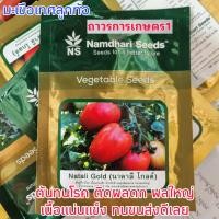ราคา มะเขือเทศมะเขือเทศลูกท้อนาตาลีโกลด์ 20 กรัม ติดดกผลใหญ่สวย (22693046938)
