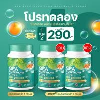 ราคา ส่งฟรี Memymaid ซีบัคธอร์น ยาลดกรดไหลย้อน ท้องอืด ท้องเฟ้อ โรคกระเพาะ แสบร้อนกลางอก จุดเสียด แน่นท้อง เรอเหม็นเปรี้ยว (22189395478)