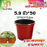 ราคา พร้อมส่งมาก กระถางต้นไม้พลาสติก กระถางต้นไม้ กระถางแคตตัส กระถางเพาะกล้าไม้อวบน้ำ กระถาง 3 5นิ้ว 5 9 นิ้ว 8 2 นิ้ว 9 4 นิ้ว greeny station (14003812670)