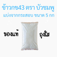 ราคา บัวชมพู ข้าวกข 43 ขนาด 5 กก ฉัตรไลท์ ข้าวน้ำตาลต่ำ คุมน้ำหนัก คุมเบาหวาน น้ำหนัก 1 กิโลกรัม และ 5 กิโลกรัม (22807416594)