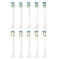 ราคา 10Pcs Replacement Toothbrush Heads for HX6064 HX6930 HX3 HX6 HX8 HX9 R Series Vacuum Soft Bristle (22094873211)