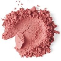 ราคา โอเรียนทอล พริ๊นเซส บลัชออนเนื้อฝุ่นแบบอัติโนมัติ Oriental Princess beneficial Ready To Wear Nourishing Face Colours ปริมาณ 5 g (16284476535)