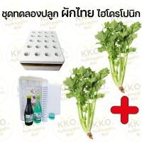 ราคา ชุดปลูก ชุดปลูกผักไทยและผักสลัด ชุดปลูกผักไฮโดร และอุปกรณ์ยกชุด เลือกเมล็ดผักเองได้ (22204674520)