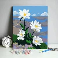 ราคา Nanafine Thai Shipping 30 40 ซม DIY ภาพวาดสีน้ำมันดิจิตอลมือวาดภูมิทัศน์ภาพวาดพระอาทิตย์ตกดอกกุหลาบภาพวาดตกแต่ง (21378616463)