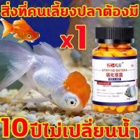 ราคา 1 แคปซูล สามารถกรองน้ำได้ 200 ลิตร น้ำใสตู้ปลา จุลินทรีย์นำใส ให้น้ำใส ตู้ปลา ดับกลิ่น เสริมแร่ธาตุและเอนไซม์ ยาปรับสภาพน้ำ ดูแลสุขภาพปลา ปรับสภาพน้ำปลา จุลินทรีตู้ปลา จุลินทรีย์น้ำใสบ่อปลา น้ำใส บ่อป