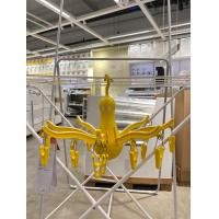 ราคา ที่ตากผ้าแบบไม้หนีบ IKEA รุ่น PRESSA ไม้แขวนเสื้อ ไม้หนีบ 16 ตัว สีเขียว เหลือง (22614312715)