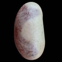 ราคา คตขนุน เครื่องรางของทนสิทธิ์ ชสวยมากส่งตามปก (22342697474)