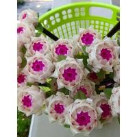 ราคา ไม้เสียบแบงค์ ไม้เสียบธนบัตร งานกฐิน ดอกบัวดาว ชุด30ไม้ งานกฐิน งานผ้าป่า งานวัด สวยตรงปก งานฝีมือ (22513039725)