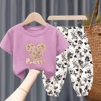 ราคา LOBER เสื้อผ้าเด็กผญ ชุดเสื้อผ้ามิกกี้เมาส์ ชุดเซทเด็กหญิง เสื้อยืดมิกกี้เม้าส์ กางเกงพิมพ์ลายทั้งตัว เสื้อผ้าเด็กผญ1 8 (22030153252)