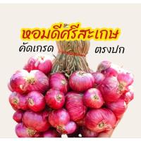ราคา ส่งฟรี 1กิโล ใหม่หอมแดง ศรีสะเกษแท้ ตรงปก หอมแดงไทย มัดจุก คุณภาพดี เนื้อแน่น หัวสวย (22793413525)