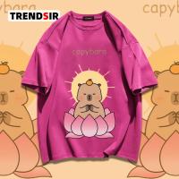 ราคา TrendSir พร้อมส่งเสื้อยืด เสื้อยืดแขนสั้น Capybara โอเวอร์ไซส์100 Cotton 9สี M 3XL (22311704240)