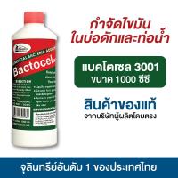 ราคา แบคโตเซล 3001 1000 ml จุลินทรีย์ ย่อยไขมันอ่างล้างจาน ดับกลิ่นเหม็นถังดักไขมัน บ่อดักไขมัน ท่อตัน (22297253475)