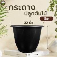 ราคา กระถางพลาสติก22นิ้ว กระถางปลูกต้นไม้ กระถางอ่างบัว เลี้ยงปลา (22014239488)