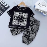 ราคา pandu ชุดเด็กชาย2 10ปี ชุดเด็กผู้ชาย ชุดเด็กลายช้าง กางเกงเด็กลายช้าง เสื้อยืดลายเพสลี่ย์ กางเกงช้าง เสื้อผ้าเด็กผู้ชาย (18762669243)