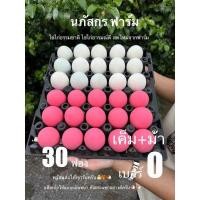 ราคา ไข่เค็มและไข่เยี่ยวม้าอย่างละ15ฟอง จัดส่งฟรี (22690596376)