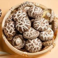 ราคา เห็ดหอมหนา ดอกกลาง เกรดAAA3 น้ำหนัก 500 g香菇เห็ด (21411803685)