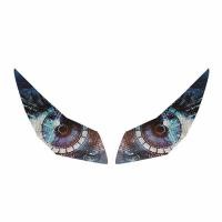 ราคา CBR1000RR สติกเกอร์สำหรับฮอนด้าไฟหน้ารถจักรยานยนต์2014 2016 2015 CBR สติกเกอร์ป้องกันไฟหน้า1000RR (19655260036)