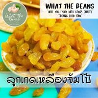 ราคา ลูกเกดเหลืองทองจัมโบ้ 500g นำเข้าล็อตใหม่ล่าสุด สีเหลืองทองสวยมาก อมเปรี้ยวอมหวาน อร่อย มีประโยชน์ What The Beans (20449052346)