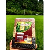 ราคา ข้าวสามสี สังข์หยด ไรซ์เบอรี่ หอมปทุม 4 กก ข้าวใหม่ๆจากพัทลุง100 ปลอดสาร100 เป็นถุงซีนอากาศ1กิโลกรัม (404759785)