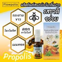 ราคา Flowpolis propoliz krachai mouth spray 15ml กระชายขาว ผสานพลังจากธรรมชาติ ด้วยสแตนดาร์ดไดซ์โพรโพลิส สารสกัดกระชายขาว (21069522076)