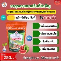 ราคา แตงโม ผลใหญ่ ผลดก ขยายขนาด เพิ่มน้ำหนัก เพิ่มคุณภาพ ผลผลิต ด้วย ปุ๋ยโพแทสเซี่ยมคลอไรด์ สตาร์เฟอร์ 0 0 60 (21643320944)