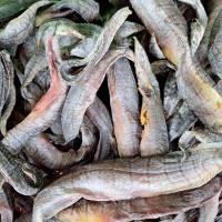 ราคา ปลาแห้ง ปลาหลดตากแห้ง ปลาหลดแห้งพม่า (21494669967)