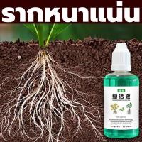 ราคา ปุ๋ยน้ำ ปุ๋ยเร่ง ยาเร่งรากโตเร็ว500มลต้นไม้ตายแล้วฟื้น บำรุงพืชทุกชนิด บำรุงราก บำรุงต้น (22617826548)