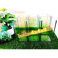 ราคา โหลปลากัด ขนาด4x4x8นิ้ว ชุด6ใบ กระจกหนา3มิล พร้อมส่ง มีรับประกัน (22101614432)